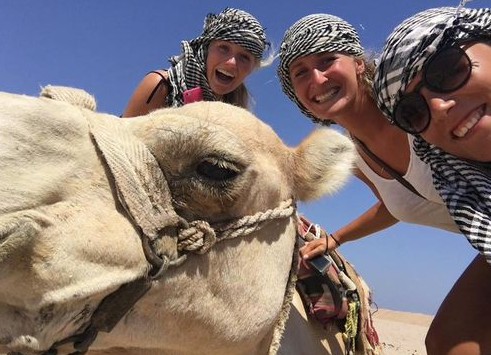 Camel Rides in the Red Sea: A Desert Adventure