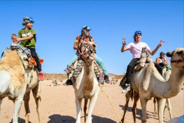 Safari in Hurghada New Line Travelers - Client memory