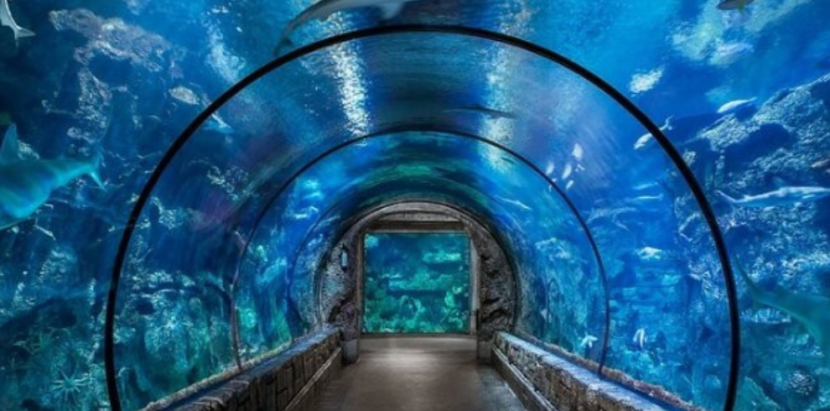 Grand Aquarium - New Line Travelers Hurghada