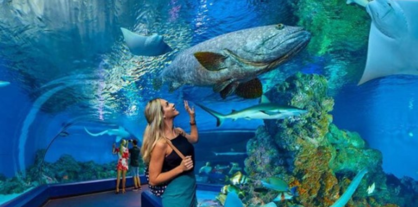 Grand Aquarium - New Line Travelers Hurghada